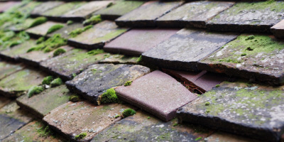 Norris Green roof repair costs